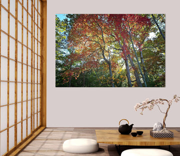 3D Forest Red Leaves 021 Kathy Barefield Wall Sticker