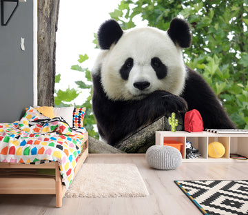 3D Panda Forest 342 Wall Murals