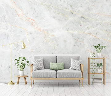 3D Elegant And Faint Texture 2108 Wall Murals