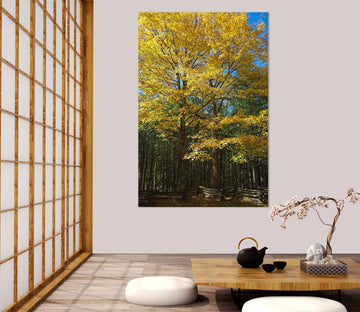 3D Sunny Forest 041 Kathy Barefield Wall Sticker