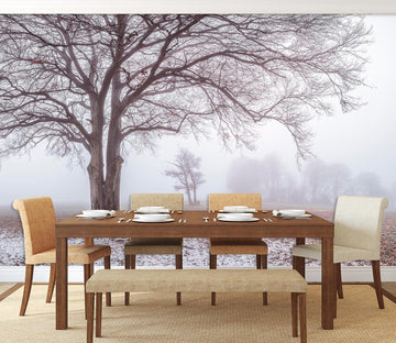 3D Misty Tree 6159 Assaf Frank Wall Mural Wall Murals