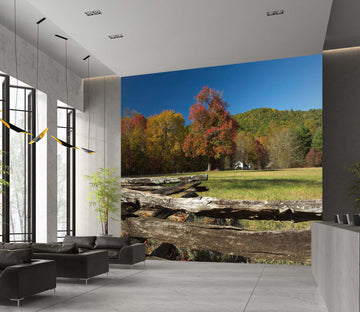 3D Moriyama Lake 124 Kathy Barefield Wall Mural Wall Murals