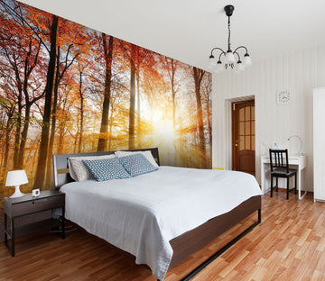 3D Dazzling Sunshine Forest 233 Wall Murals