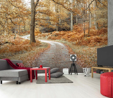 3D Maple Forest Road 056 Assaf Frank Wall Mural Wall Murals