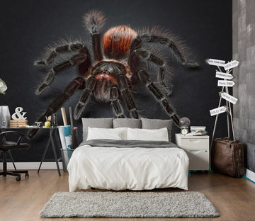 3D Red Spider 265 Wall Murals