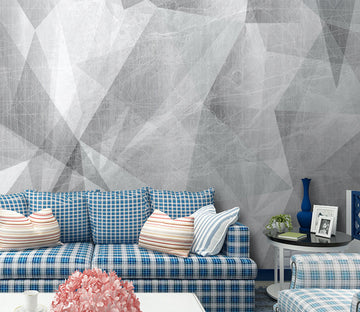 3D Grey Modern WG097 Wall Murals