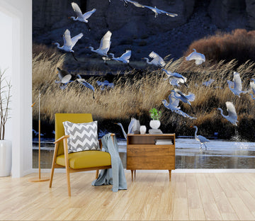 3D White Crane River 207 Wall Murals