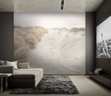 3D White Sand 076 Assaf Frank Wall Mural Wall Murals