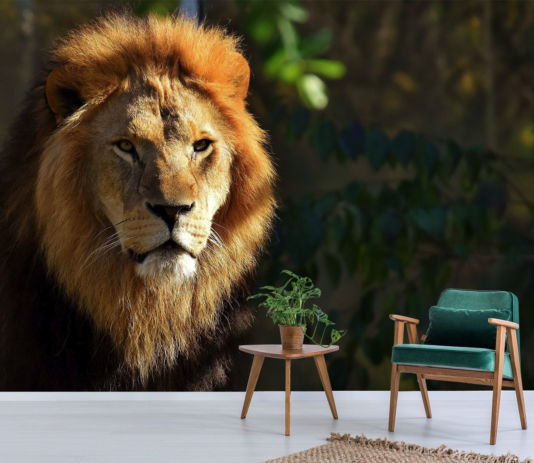 3D Lion In The Sun 212 Wallpaper AJ Wallpaper 