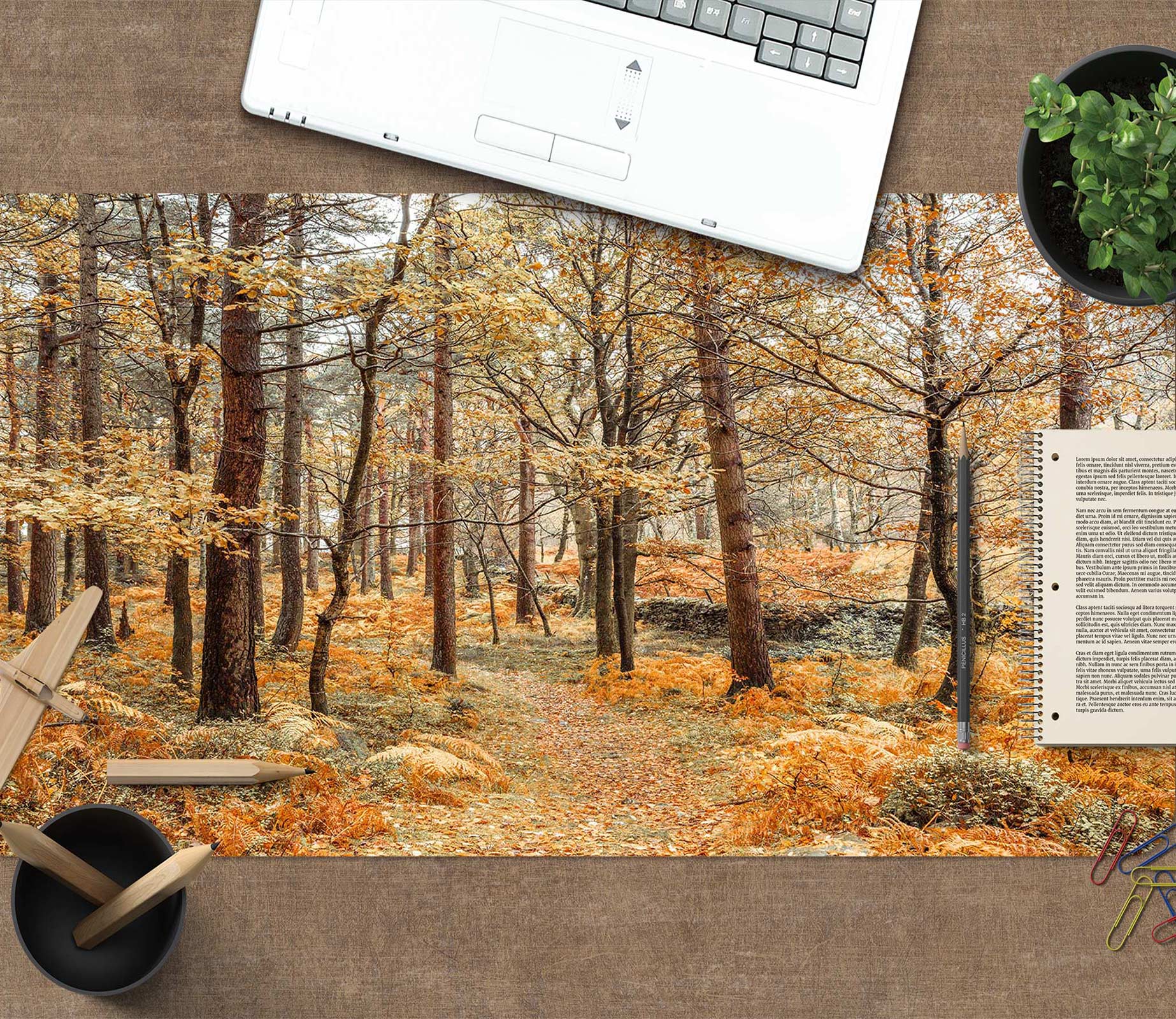 3D Autumn Forest 12442 Assaf Frank Desk Mat