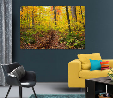 3D Forest 62101 Kathy Barefield Wall Sticker