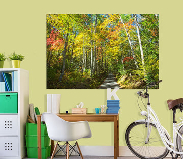 3D Sunny Forest 017 Kathy Barefield Wall Sticker