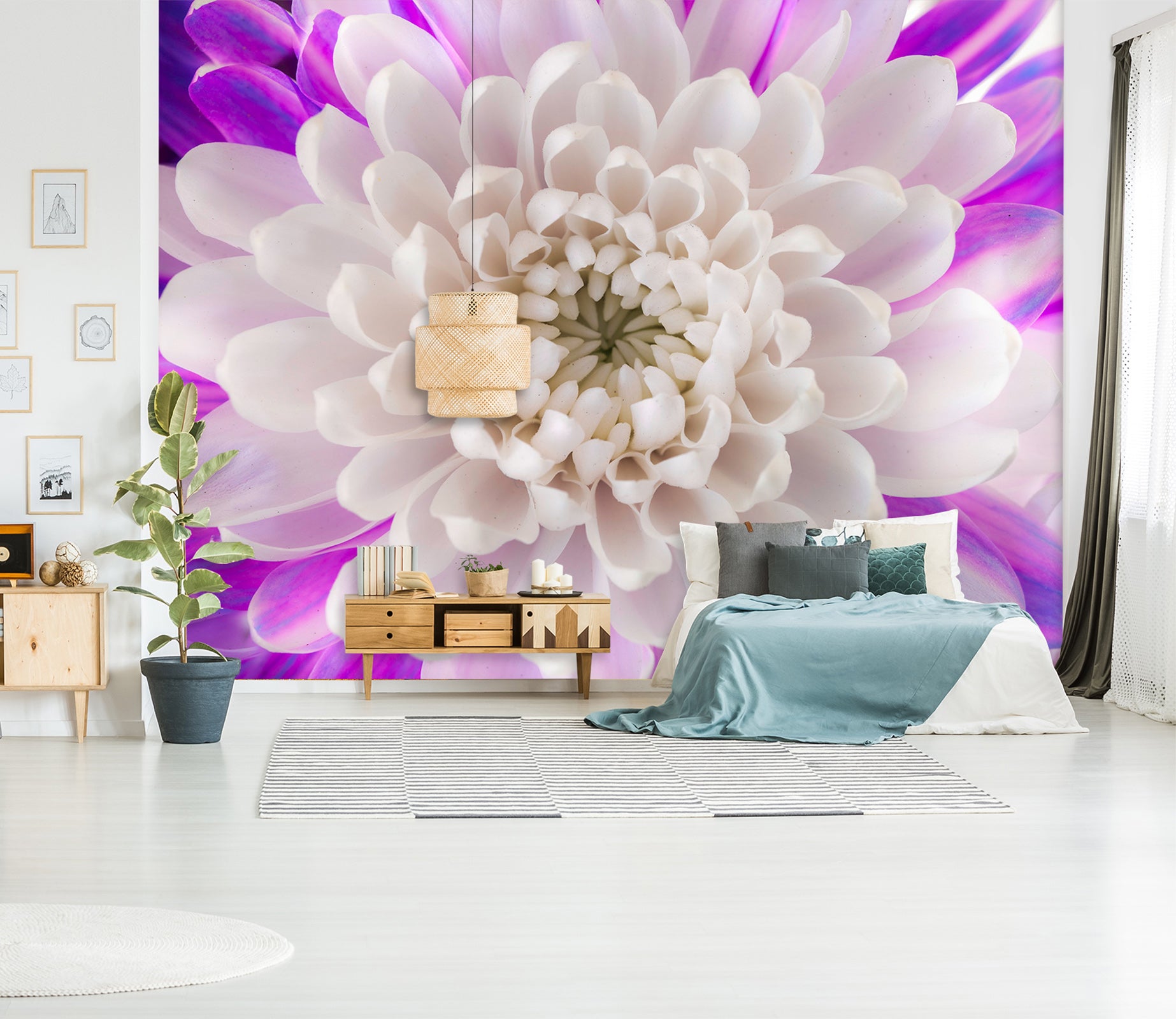 3D White Chrysanthemum 1421 Assaf Frank Wall Mural Wall Murals