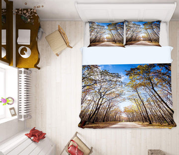 3D Trees Path 67137 Bed Pillowcases Quilt