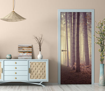 3D Woods 10665 Assaf Frank Door Mural