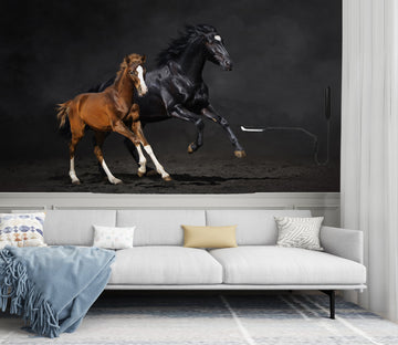 3D Dark Horse 111 Wall Murals