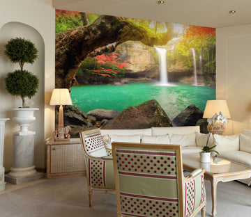 3D Heo Suwat Waterfall 224 Wall Murals