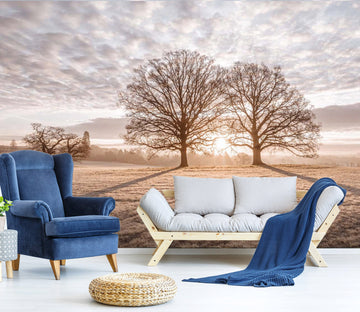 3D Pink Sunset 069 Assaf Frank Wall Mural Wall Murals