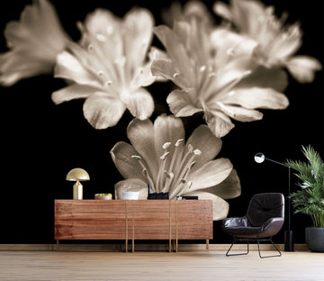 3D White Flower 6101 Assaf Frank Wall Mural Wall Murals