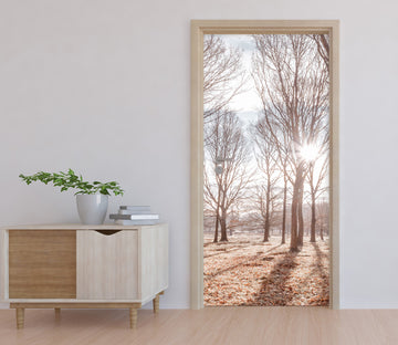 3D Trees Sunshine 10253 Assaf Frank Door Mural