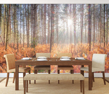 3D Leaves Sunshine 6154 Assaf Frank Wall Mural Wall Murals