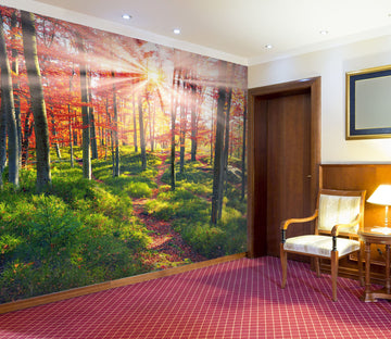 3D Beeches The Rocks 212 Wall Murals