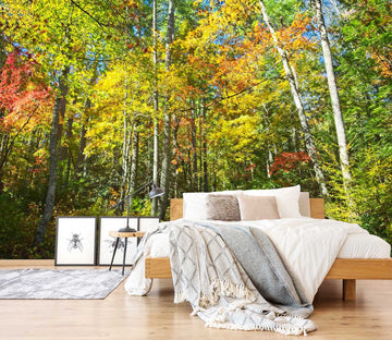 3D Sunny Woods 116 Kathy Barefield Wall Mural Wall Murals