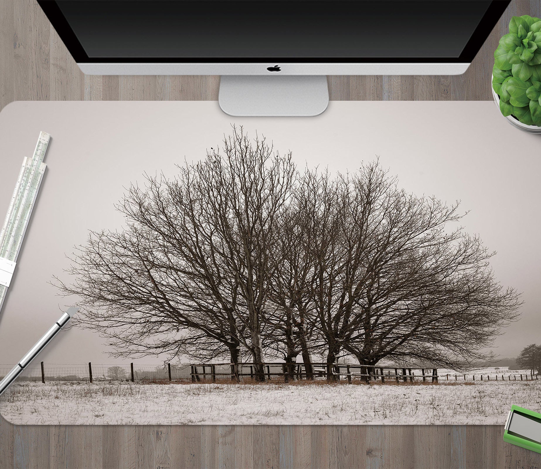 3D Trees Snow 12428 Assaf Frank Desk Mat