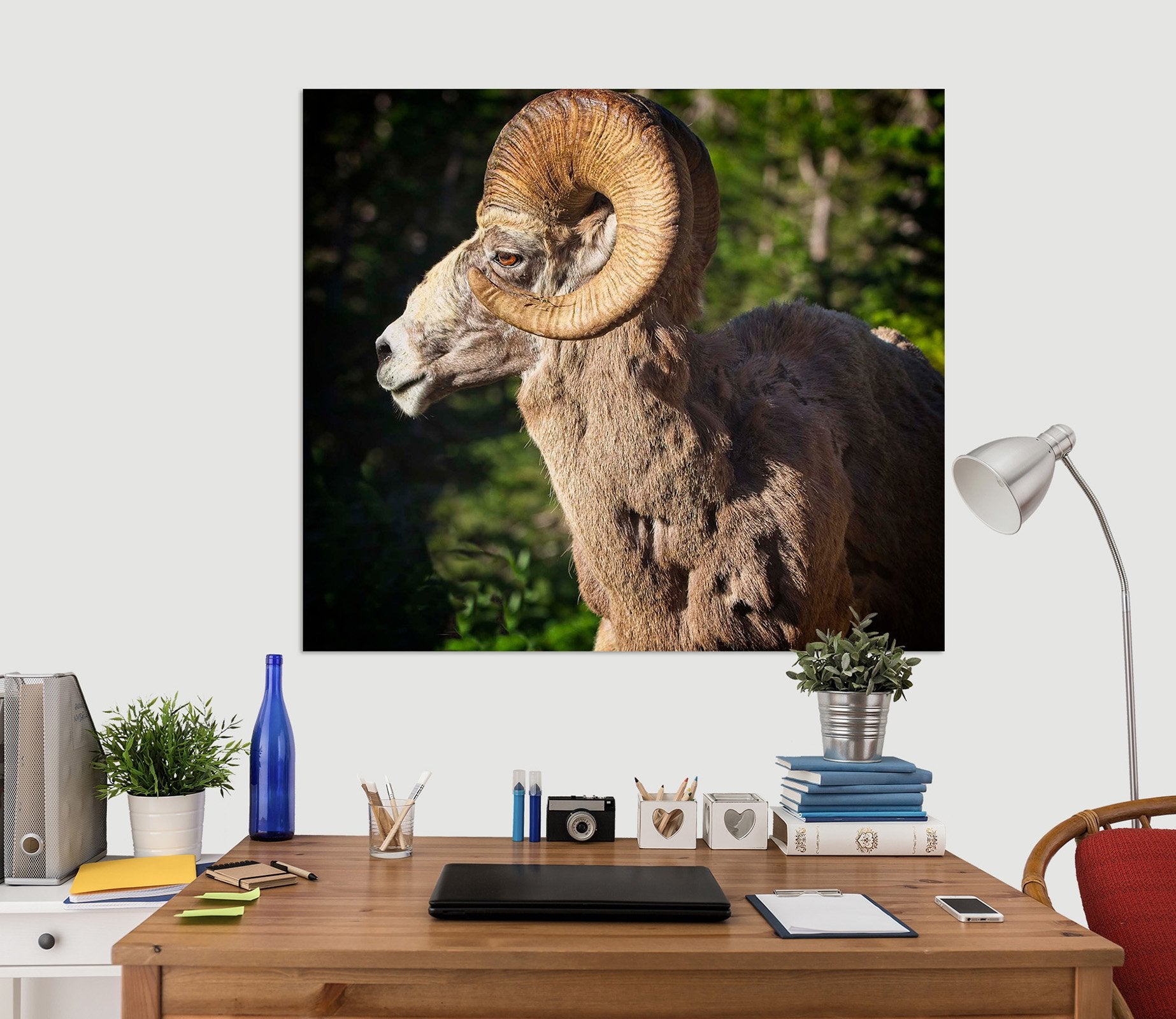 3D Bighorn Ram 005 Kathy Barefield Wall Sticker Wallpaper AJ Wallpaper 2 