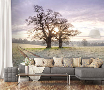 3D Land Tree 074 Assaf Frank Wall Mural Wall Murals