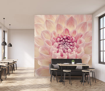 3D Beautiful Chrysanthemum 6128 Assaf Frank Wall Mural Wall Murals