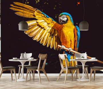 3D Color Parrot 137 Wall Murals