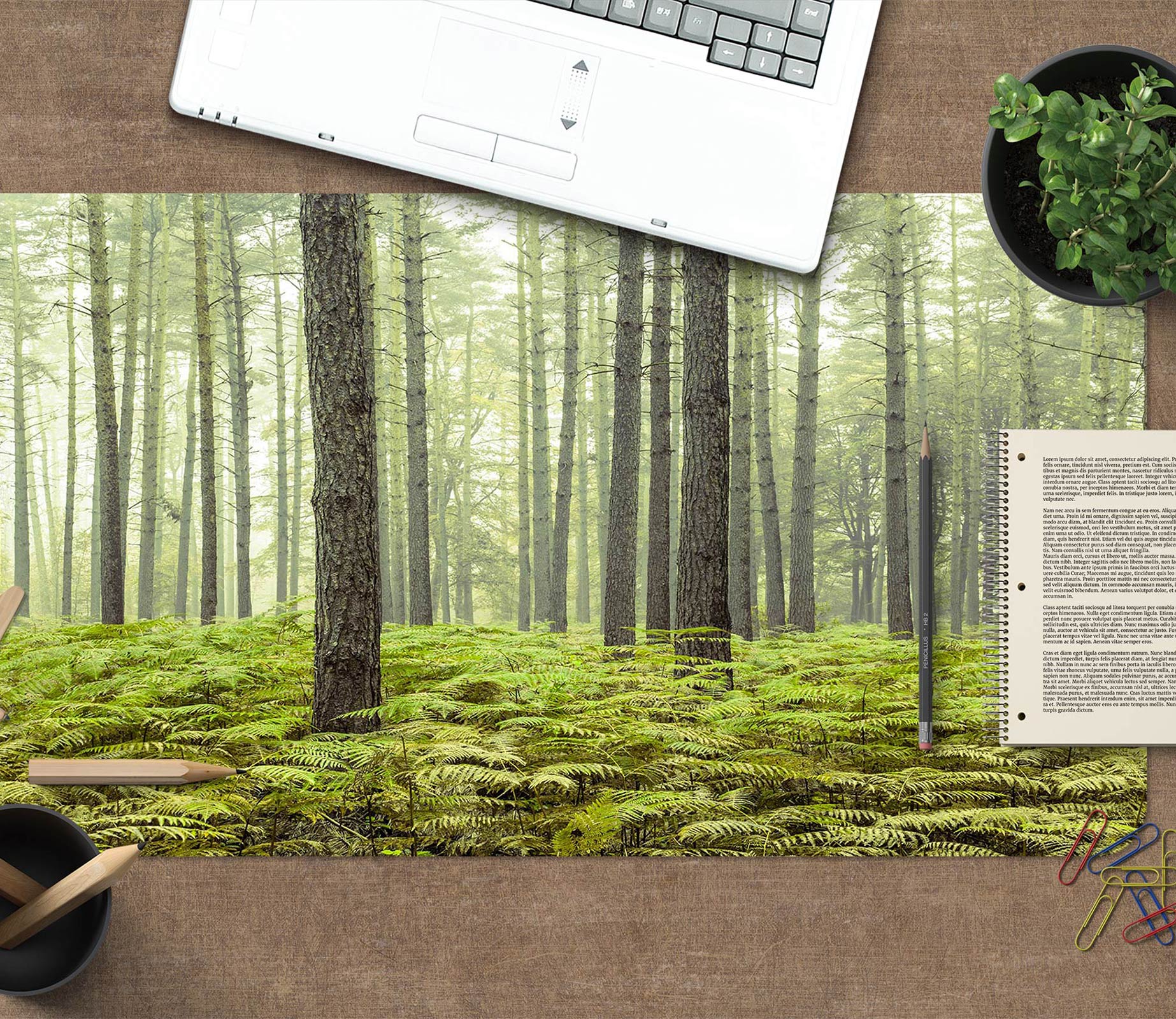 3D Woods Meadow 123110 Assaf Frank Desk Mat