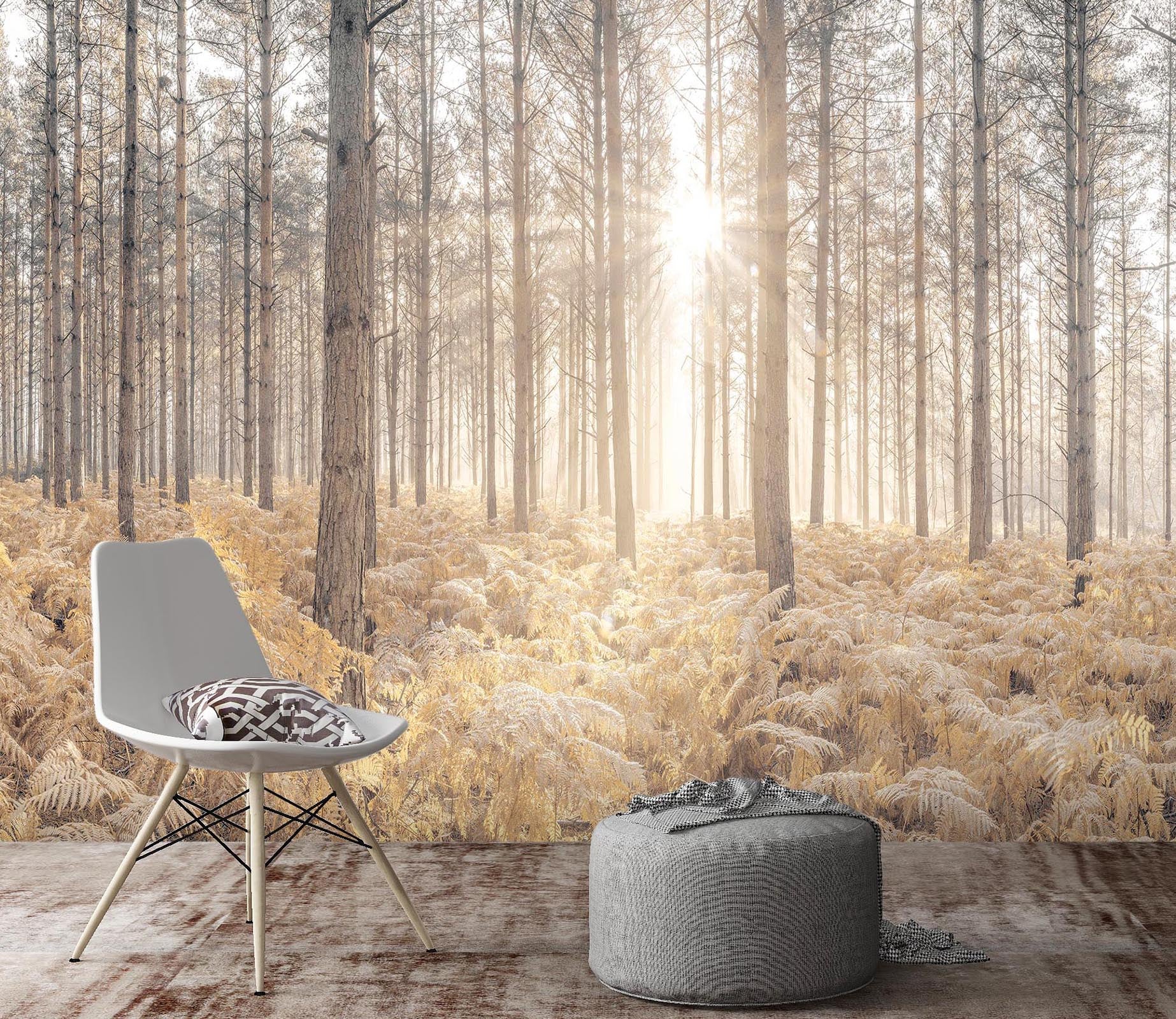 3D Forest Sunshine 6152 Assaf Frank Wall Mural Wall Murals