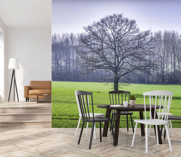 3D Lawn Tree 042 Assaf Frank Wall Mural Wall Murals