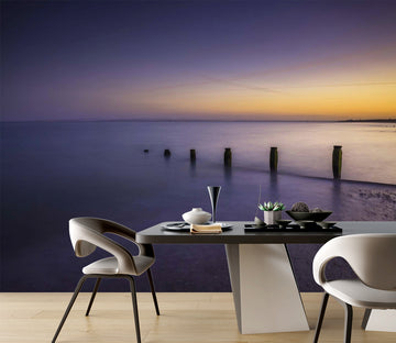 3D Calm Sea Level 008 Assaf Frank Wall Mural Wall Murals