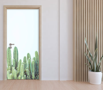 3D Cactus 10640 Assaf Frank Door Mural