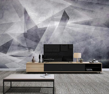 3D Gray Graphics WC1651 Wall Murals