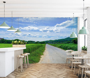 3D Sky Grass Path 9174 Alius Herb Wall Mural Wall Murals