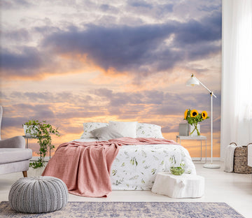 3D Sky Cloud 6190 Assaf Frank Wall Mural Wall Murals