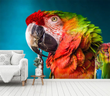 3D Color Parrot 414 Wall Murals