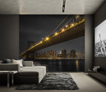 3D New York Bridge 012 Assaf Frank Wall Mural Wall Murals