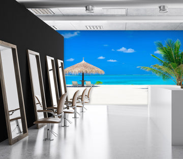 3D Beach Umbrella 056 Wall Murals