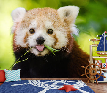 3D Cute Red Panda 216 Wall Murals