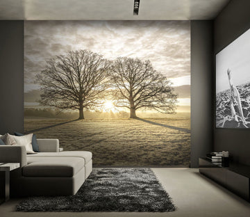 3D Yellow Grassland 070 Assaf Frank Wall Mural Wall Murals