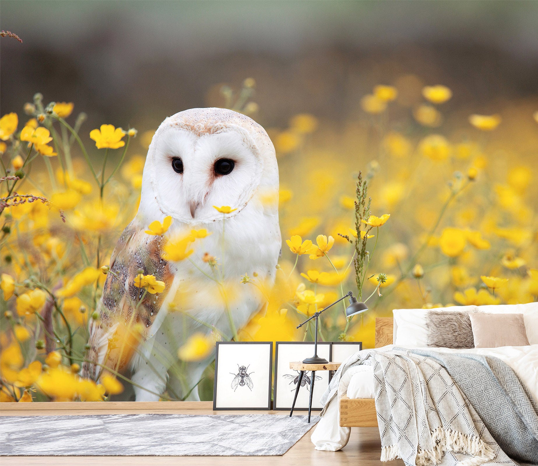 3D White Owl 435 Wall Murals