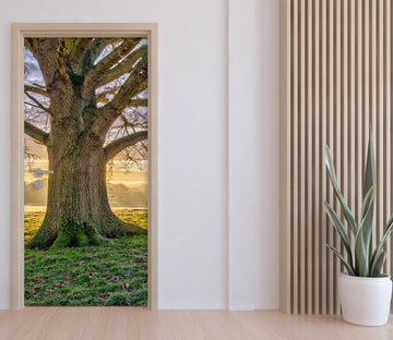 3D Green Lawn Tree 10245 Assaf Frank Door Mural