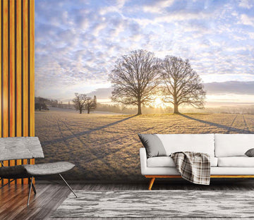 3D Sunset Tree 066 Assaf Frank Wall Mural Wall Murals