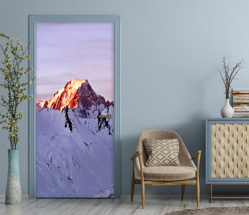 3D Snow Mountain Peak 10651 Assaf Frank Door Mural