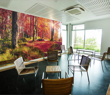 3D Maple Forest 214 Wall Murals